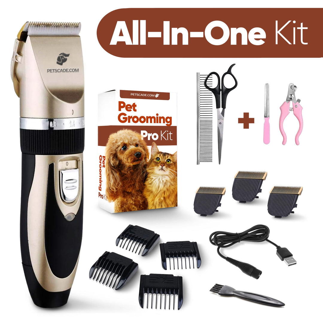 Accesorios del kit de aseo para mascotas: peines, cepillo de limpieza, aceite. Cuidado animal completo.
