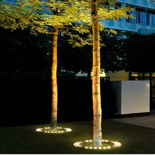 Iluminación exterior LED para embellecer árboles, crea ambientes cálidos en tu jardín.