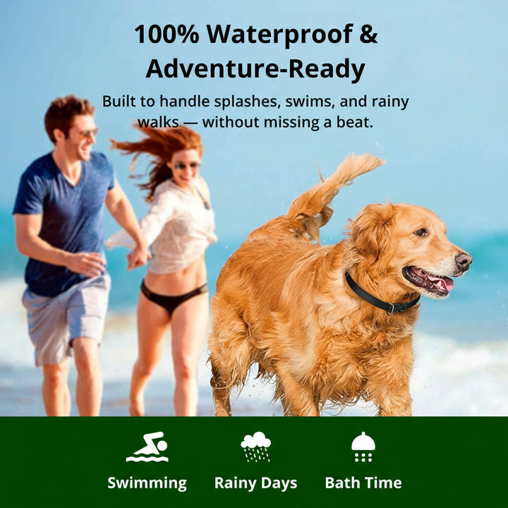 Accesorio de entrenamiento impermeable para perros, con mando a distancia, perfecto para obediencia y corrección.