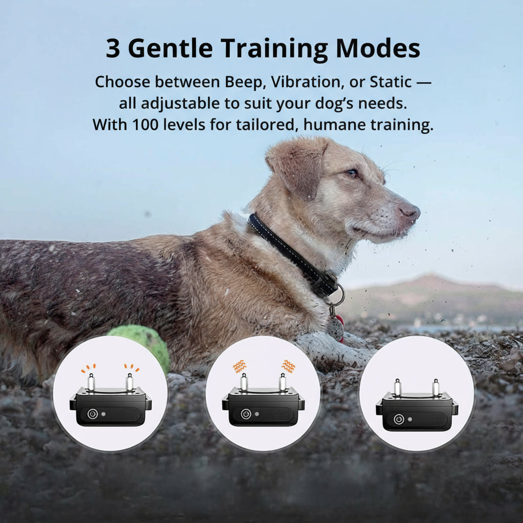 Collar electrónico impermeable para perros de caza o agility, con funciones remotas de estimulación segura.
