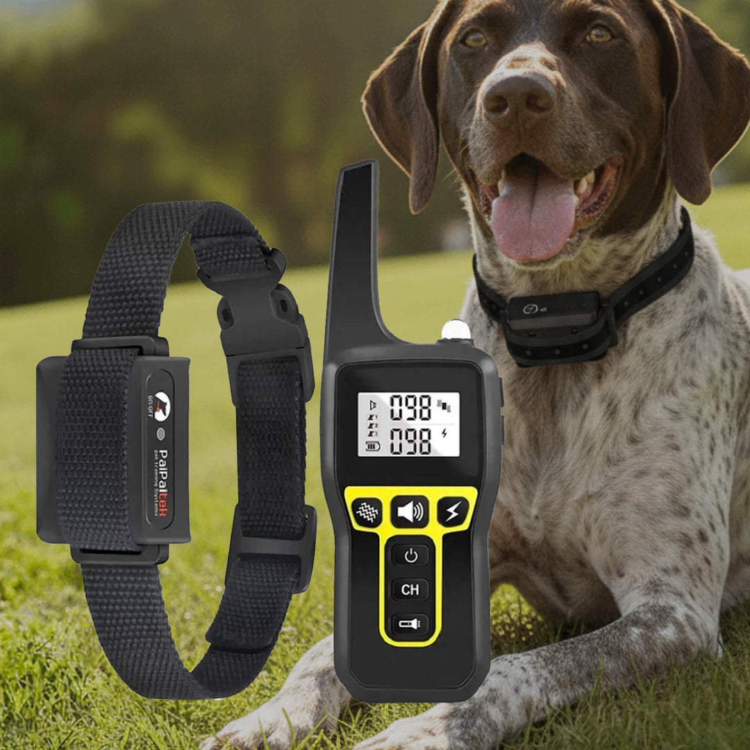 Collar de entrenamiento remoto e impermeable para perros, ideal para adiestramiento exterior de todas las razas.