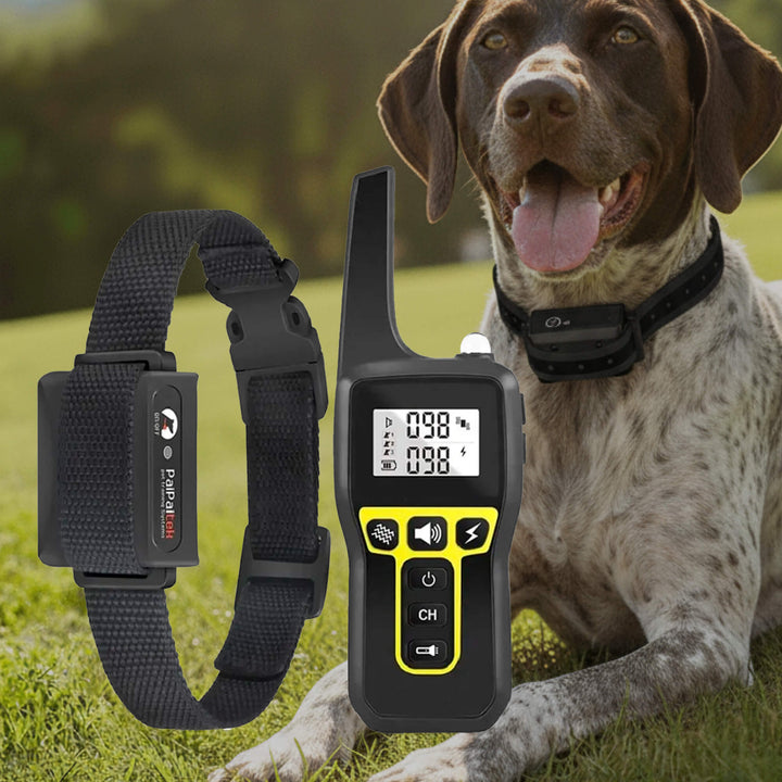 Collar de entrenamiento remoto e impermeable para perros, ideal para adiestramiento exterior de todas las razas.