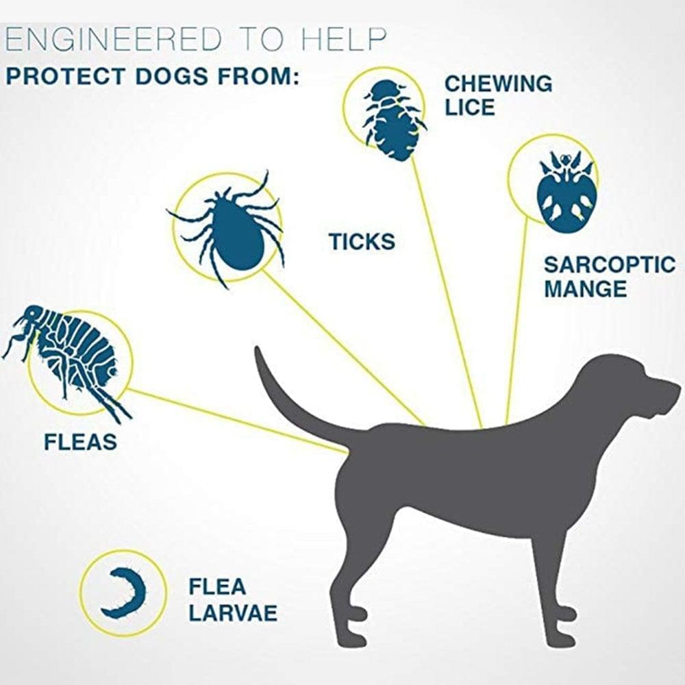Collar antiparásitos impermeable para perros y gatos. Ofrece hasta 8 meses de protección contra pulgas y garrapatas.