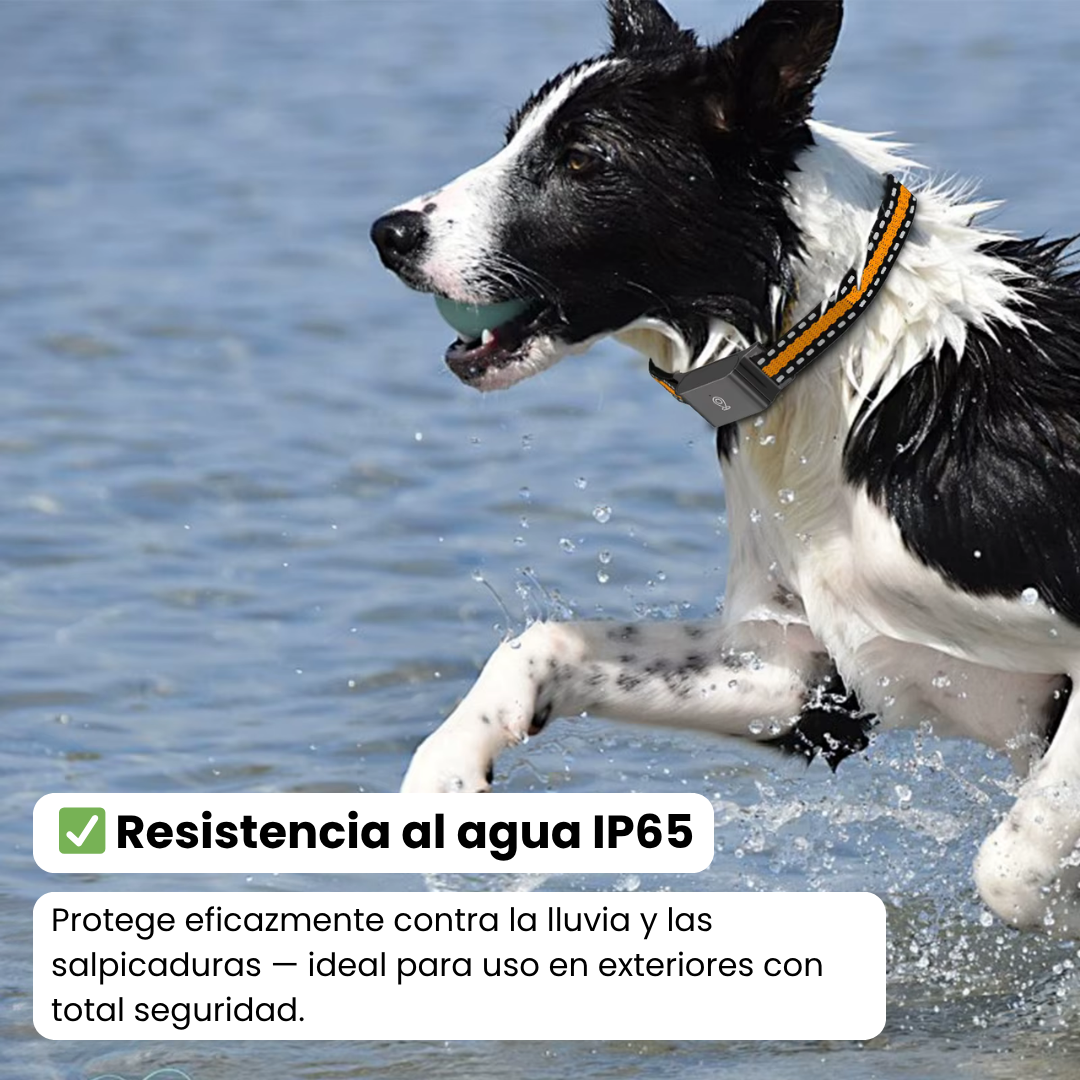 Collar GPS para perros y gatos, rastreo preciso y sin suscripción para la seguridad de tu mascota.
