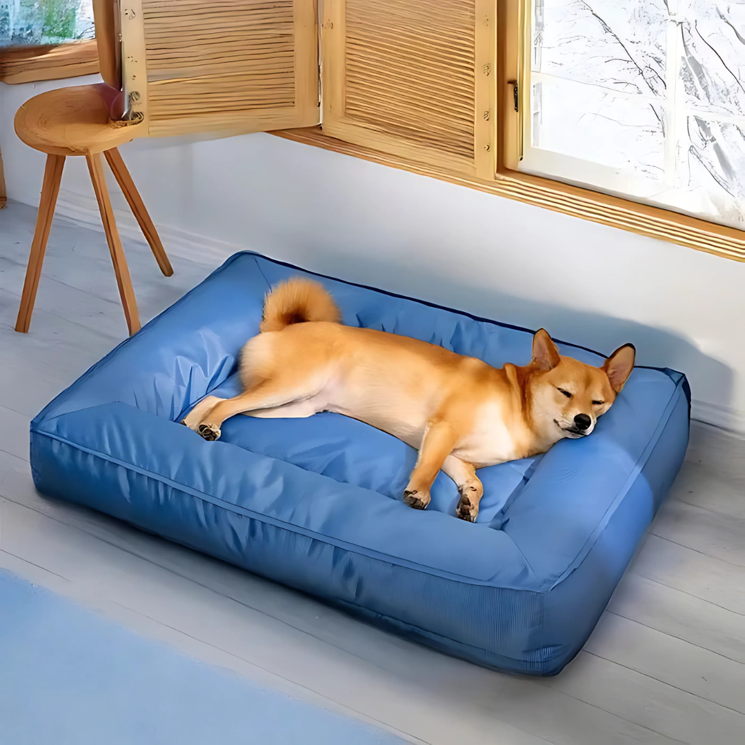 Perro feliz descansando en una cama ortopédica, ideal para alivio de articulaciones doloridas.