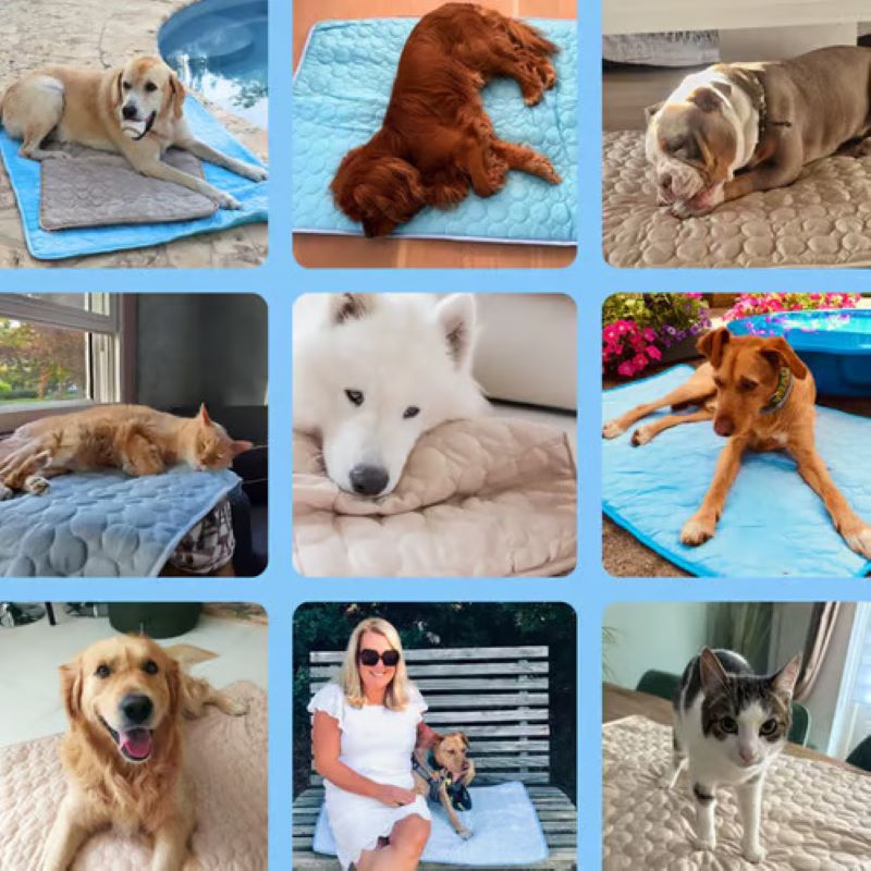 Colchoneta para perros de tamaño mediano, innovadora tecnología de enfriamiento.