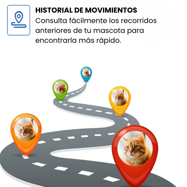 Perro usando collar GPS resistente al agua. Localizador sin suscripción para aventuras seguras.