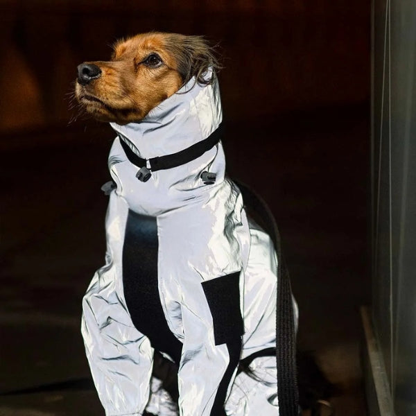 Perro feliz con chubasquero impermeable de patas completas, reflectante, listo para cualquier clima.