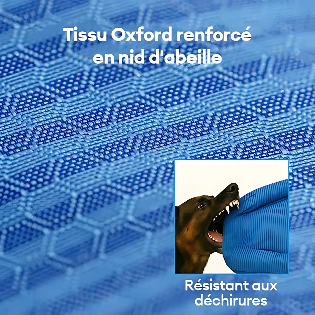 Cama ortopédica versátil para perros, soporte superior para articulaciones y confort para mascotas.