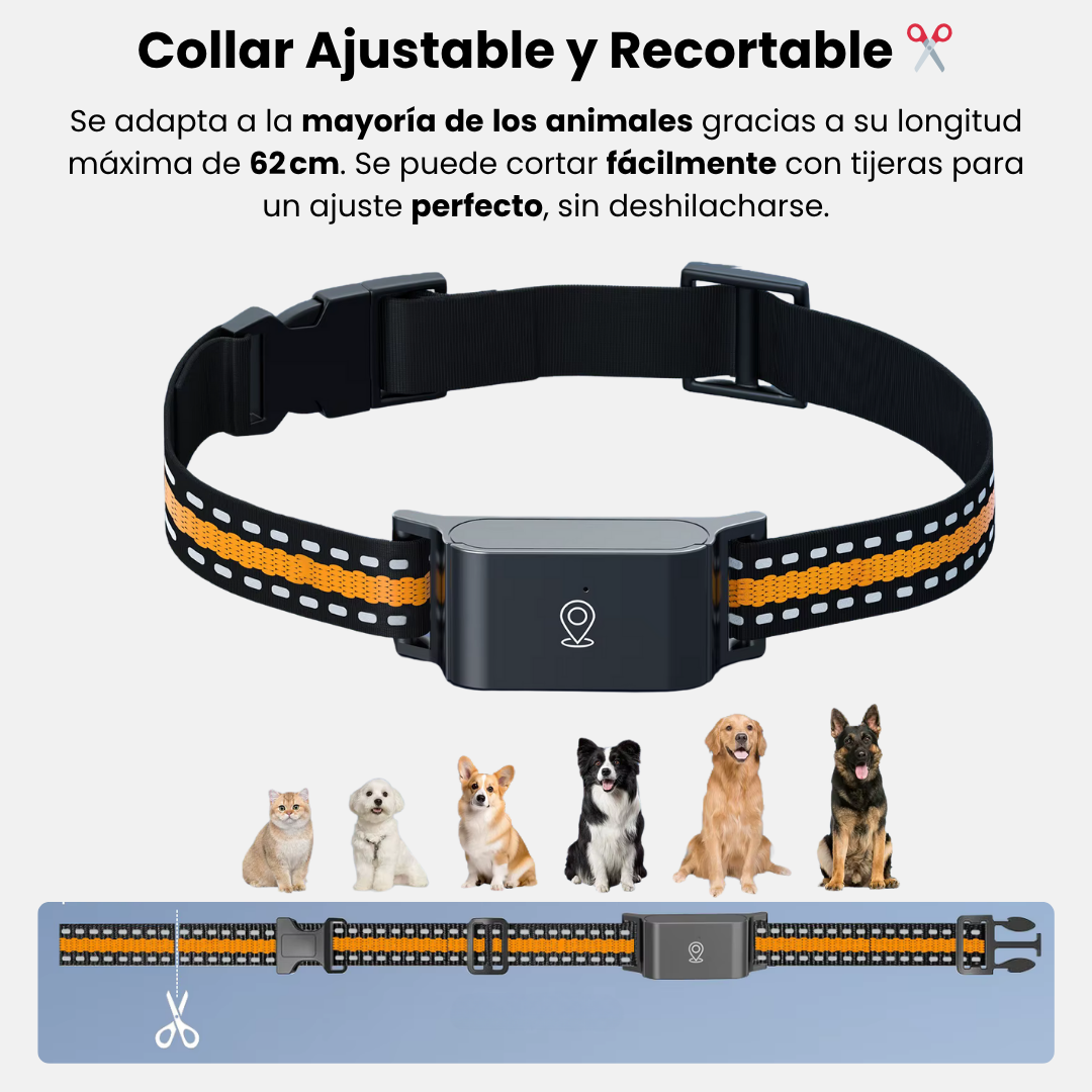 Collar GPS para mascotas fácil de usar, rastreo sin suscripción para perros y gatos.