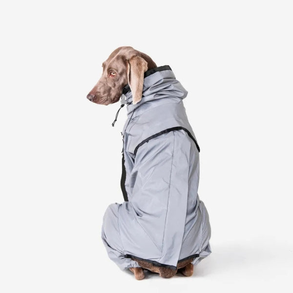 Chubasquero protector para perro, con patas completas y alta visibilidad reflectante, para seguridad.