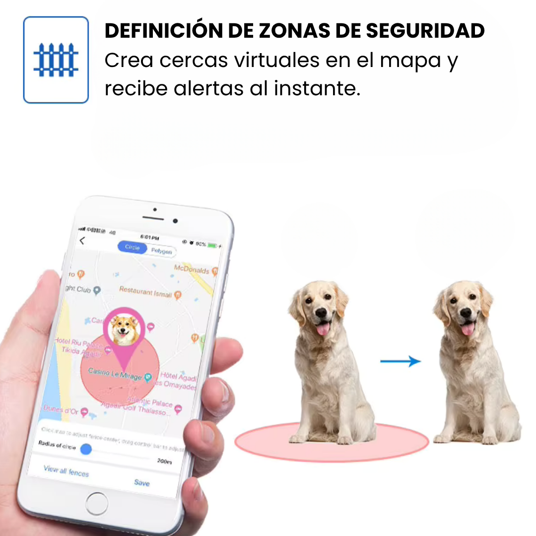 Gato con collar GPS. Seguimiento en tiempo real y zona segura. Localizador antifuga para tranquilidad.