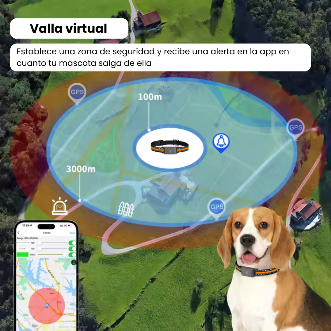 Gato explorando seguro con collar localizador GPS. Ideal para la seguridad de tu mascota sin cuotas mensuales.
