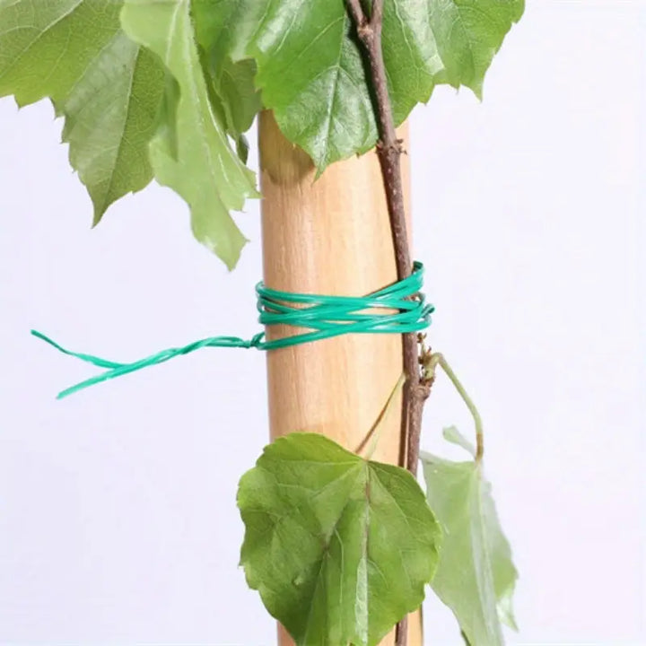 Detalle de la cinta de alambre flexible verde, perfecta para tutores y la organización en el cultivo de plantas.