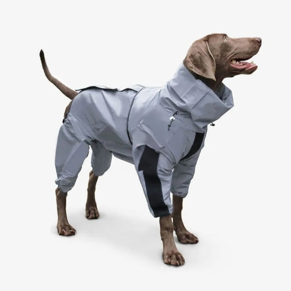 Chubasquero impermeable para perro con patas completas, diseño reflectante, ideal protección lluvia.