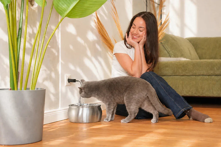 Fuente de agua silenciosa de 4L para gatos, con filtración avanzada para agua fresca.