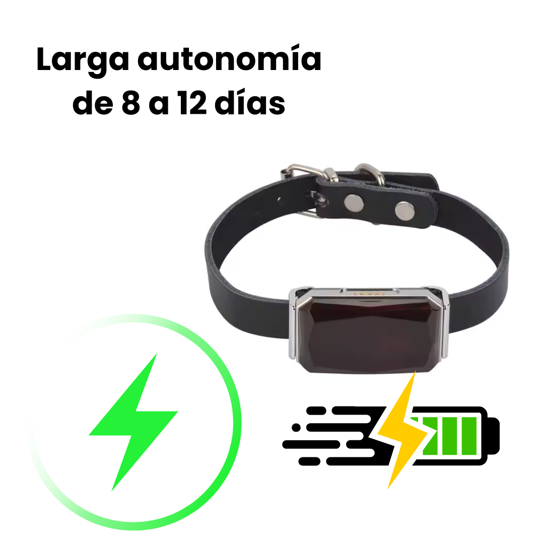 Dueño de mascota sonriendo mientras su perro juega con el collar GPS. Tranquilidad y seguridad garantizadas.