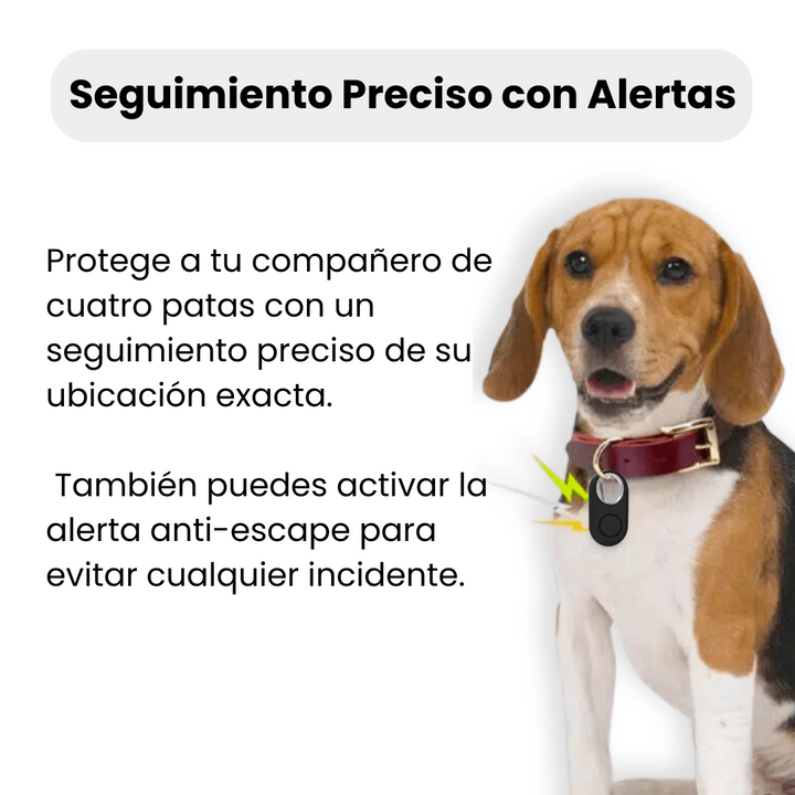 Perro feliz con localizador GPS en su collar, disfrutando de libertad y seguridad sin cuotas mensuales.
