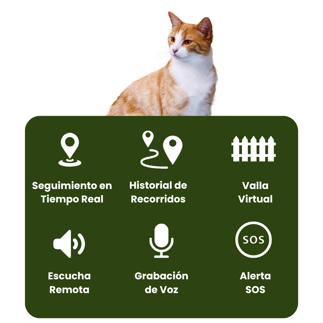 Seguridad para mascotas: Collar GPS sin suscripción. Rastrea a tu perro o gato fácilmente.