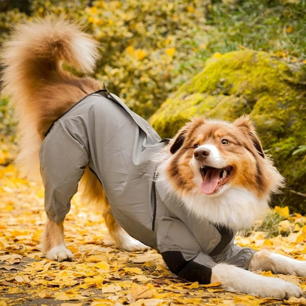 Impermeable para perros grandes, diseño de patas completas, máxima protección contra la lluvia.