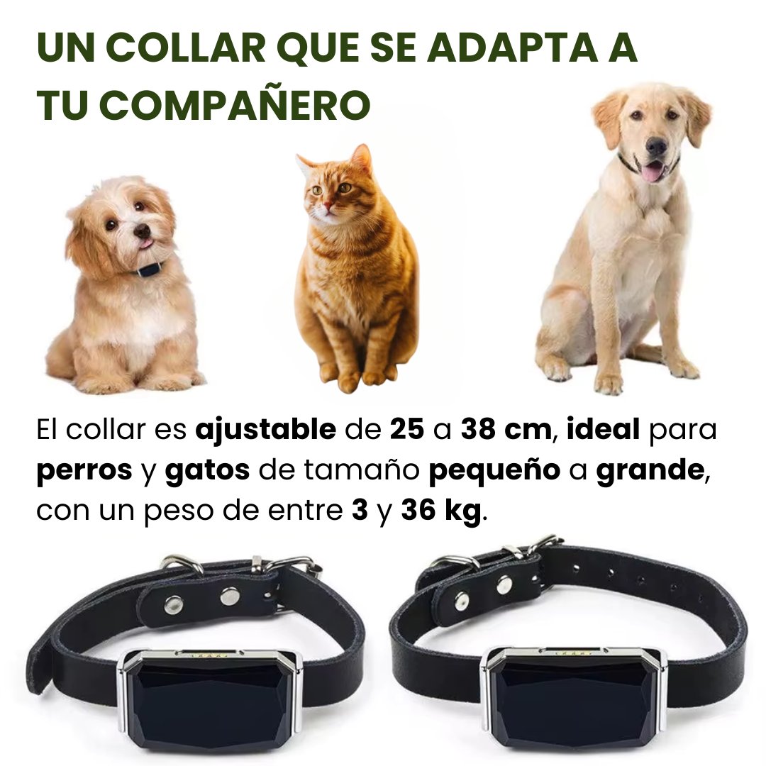Rastreador GPS impermeable para mascotas. Localiza a tu perro o gato en tiempo real.