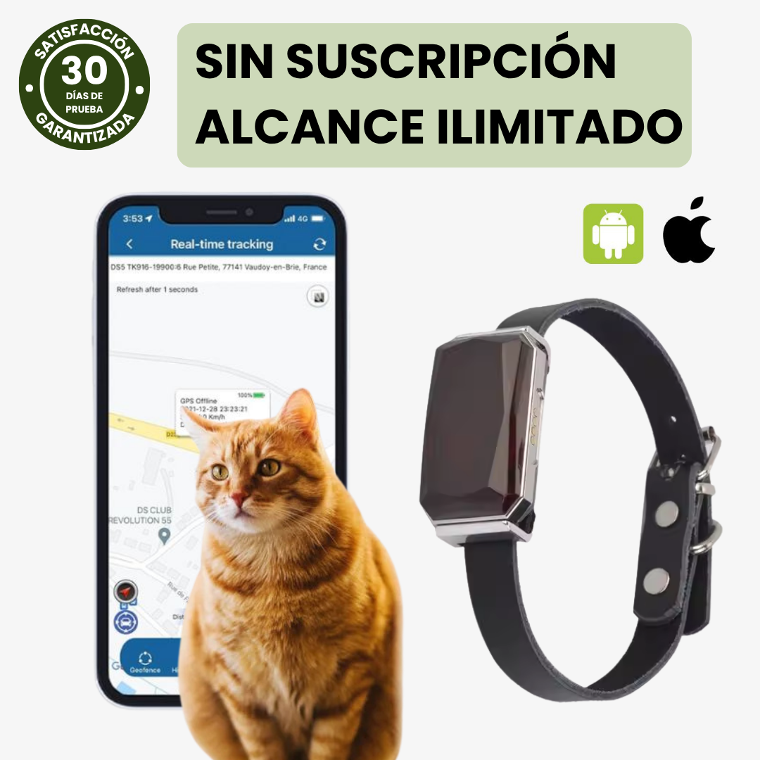 Collar GPS para perros y gatos. Rastreo en vivo, seguro y sin suscripción mensual.