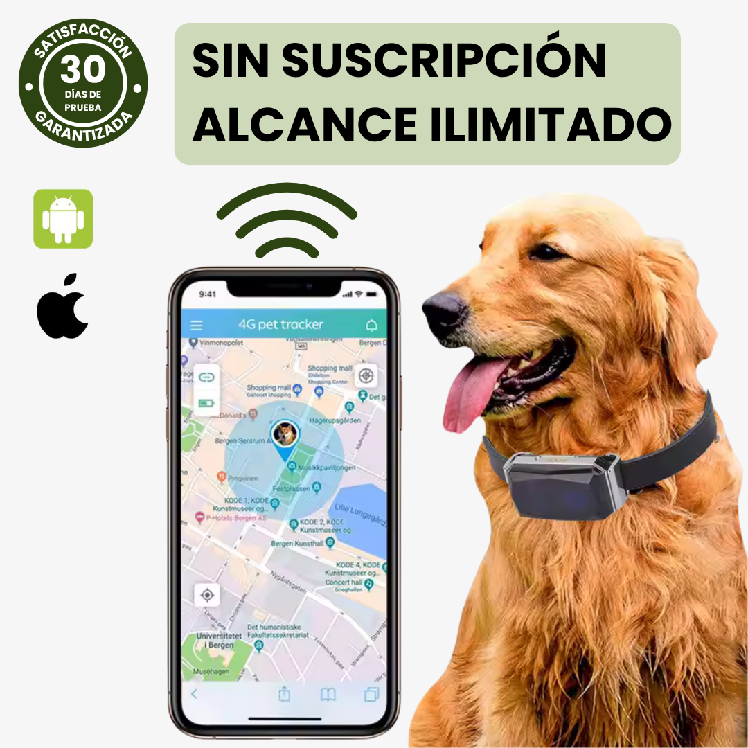 Collar GPS para perros y gatos. Localizador preciso. Seguimiento en tiempo real y función antifuga.