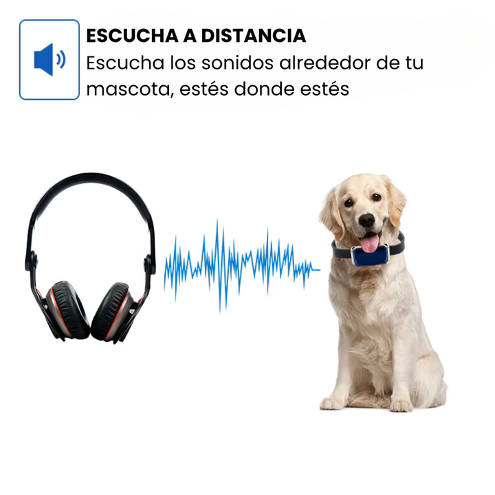 Detalle del módulo GPS en el collar. Tecnología antifuga para mascotas. Rastreador fiable y fácil de usar.