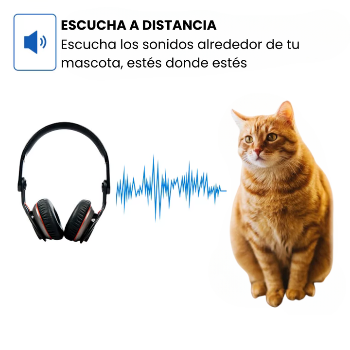 Kit de collar GPS para animales. Localización en tiempo real para perros y gatos.