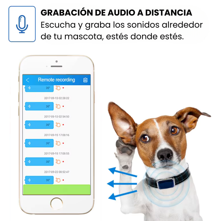 Collar GPS para la seguridad de tu mascota. Rastreo en tiempo real, impermeable, sin suscripción.