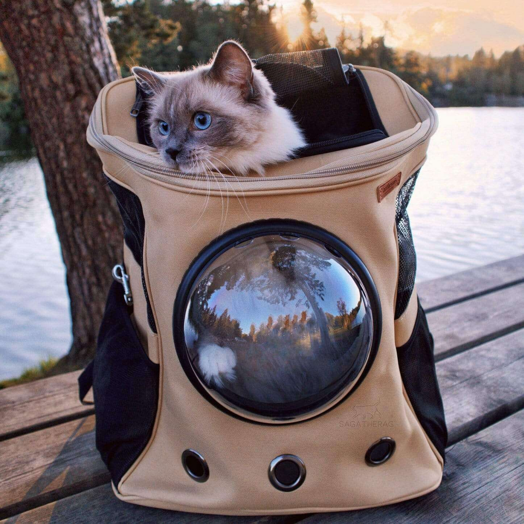 Mochila transportadora de gato con burbuja transparente, ofrece viajes sin estrés. Accesorios para mascotas.