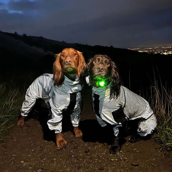 Impermeable reflectante para perro, cobertura de patas, protección avanzada para lluvia y barro.