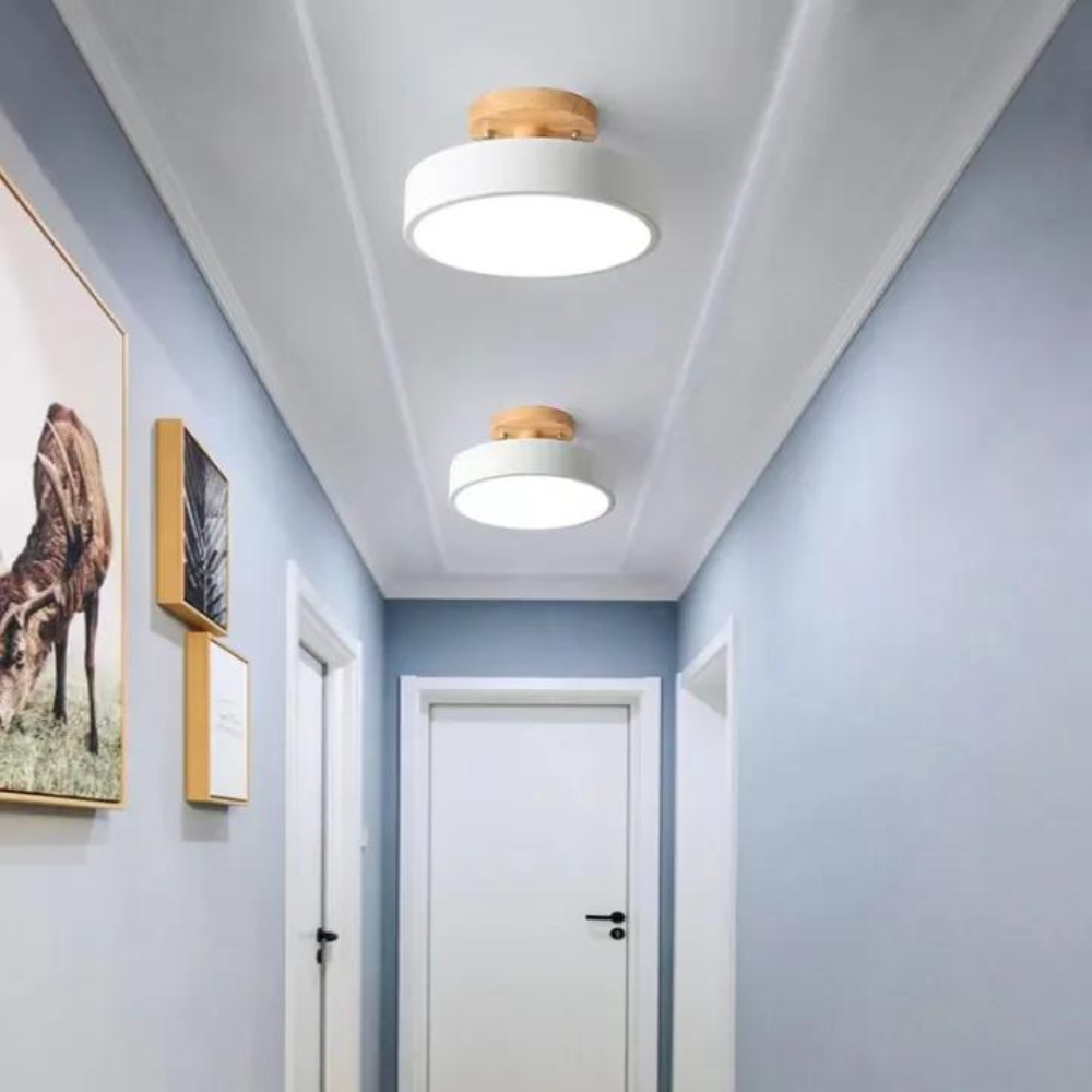 Iluminación de techo LED Aria, luz compacta para ambientes contemporáneos y minimalistas.