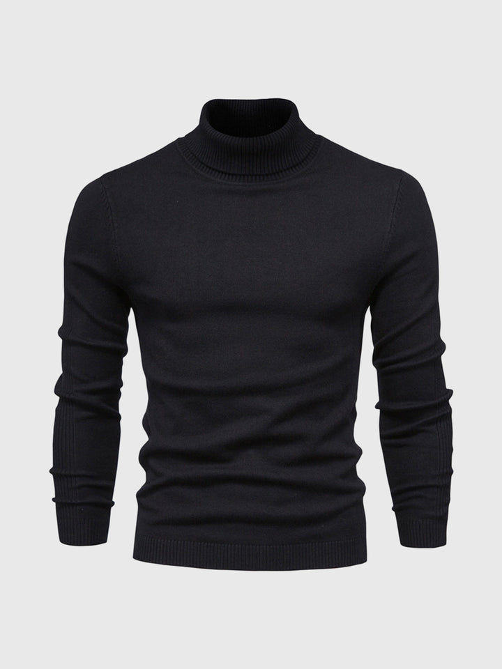 DAVARO: Jersey de hombre, cuello alto slim fit, versátil para armario de invierno.