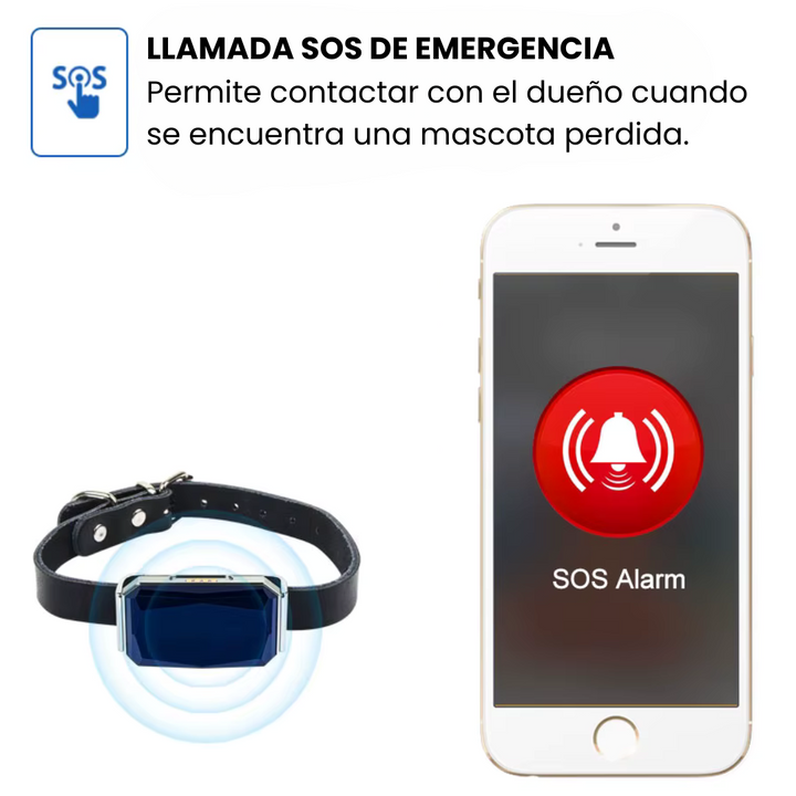 Collar GPS sin suscripciones para perros de todos los tamaños. Impermeable y duradero.