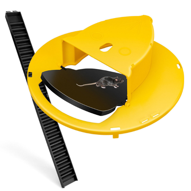 Trampa amarilla automática para roedores, diseño discreto. Control de plagas humano y efectivo en casa.