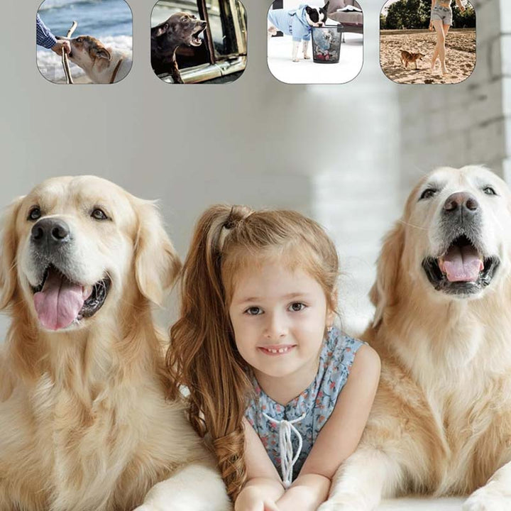 Repelente ultrasónico diseñado para el adiestramiento y la educación canina efectiva y segura.