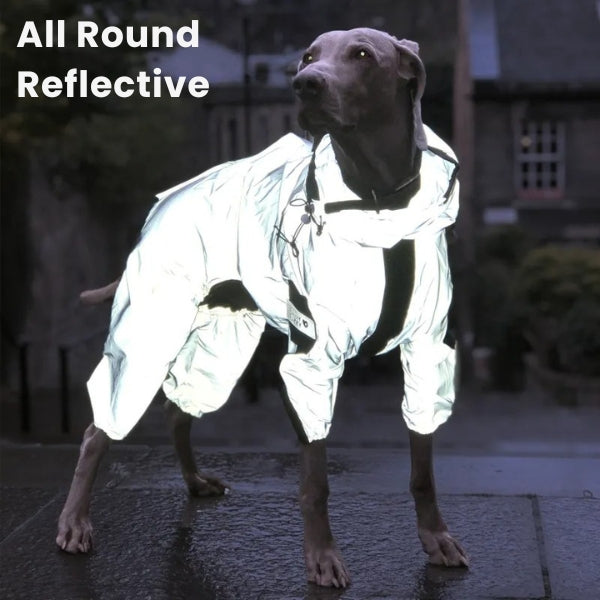 Chubasquero reflectante para perros de todos los tamaños, patas completas, visibilidad y seguridad.