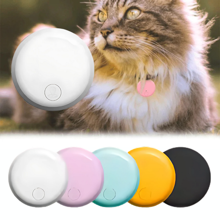 GPS para gatos, rastreador preciso con app móvil gratuita. Localizador de felinos.