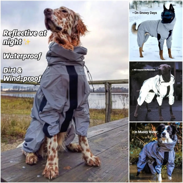Impermeable perros pequeños, fácil de poner, protege de la lluvia y mantiene a tu mascota seca.