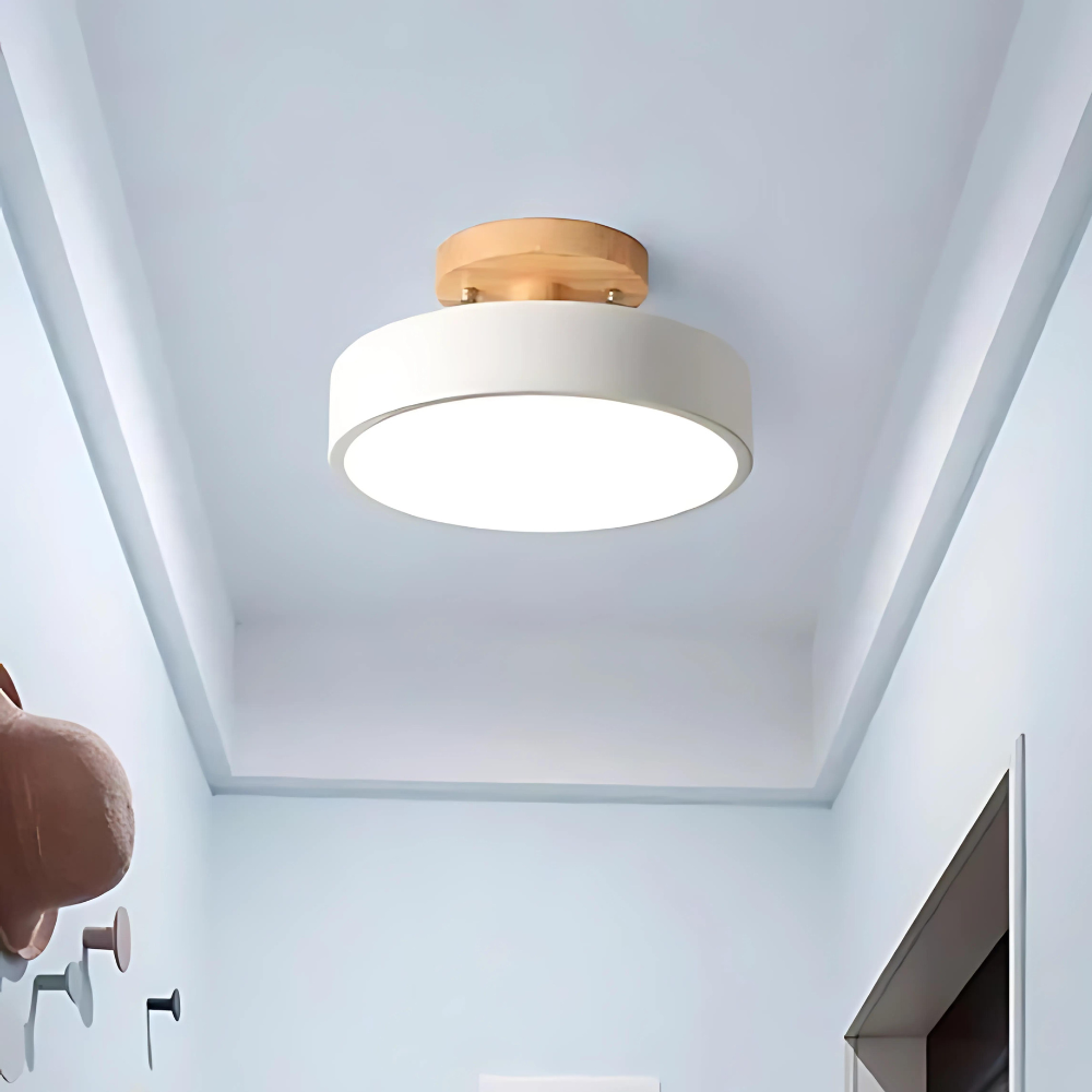 Lámpara de techo LED Aria compacta, ideal para pasillos o cocinas con diseño moderno.