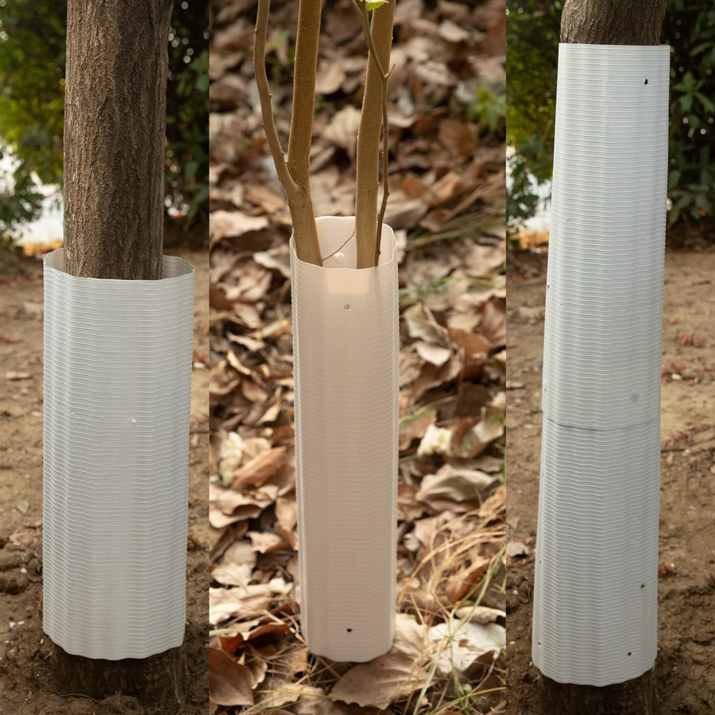 Solución ecológica para proteger árboles y comederos de aves en tu jardín exterior de ardillas invasoras.