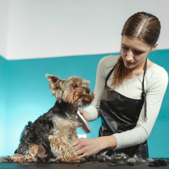 Kit de cuidado y aseo silencioso para mascotas. Embalaje del set completo para perros, gatos y peluquería canina.