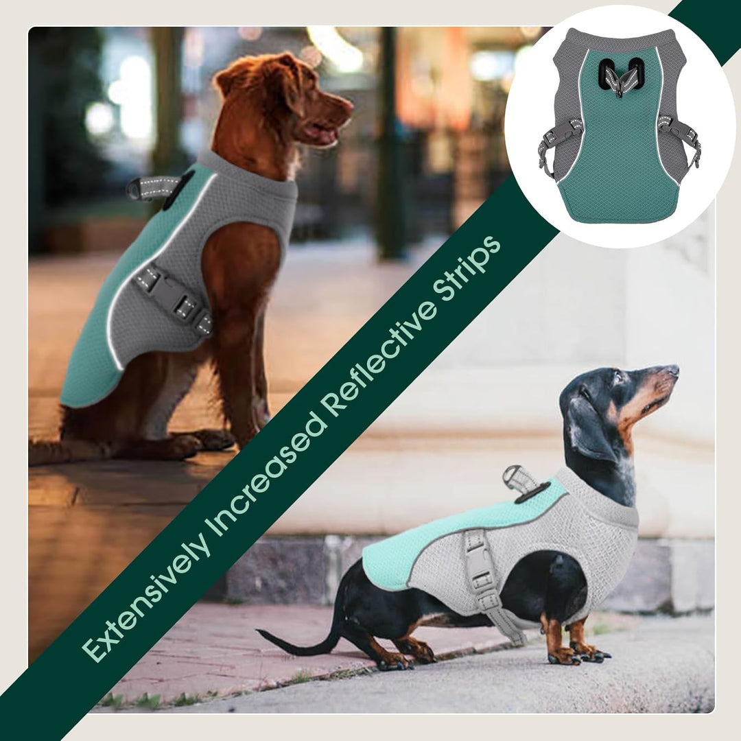 Chaleco enfriador con arnés reflectante para perros. Frescor y seguridad en paseos estivales para tu mascota.