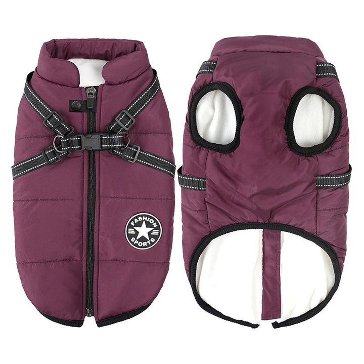 Perro feliz luciendo su chaqueta de invierno 3 en 1: impermeable, cortaviento y con arnés integrado.
