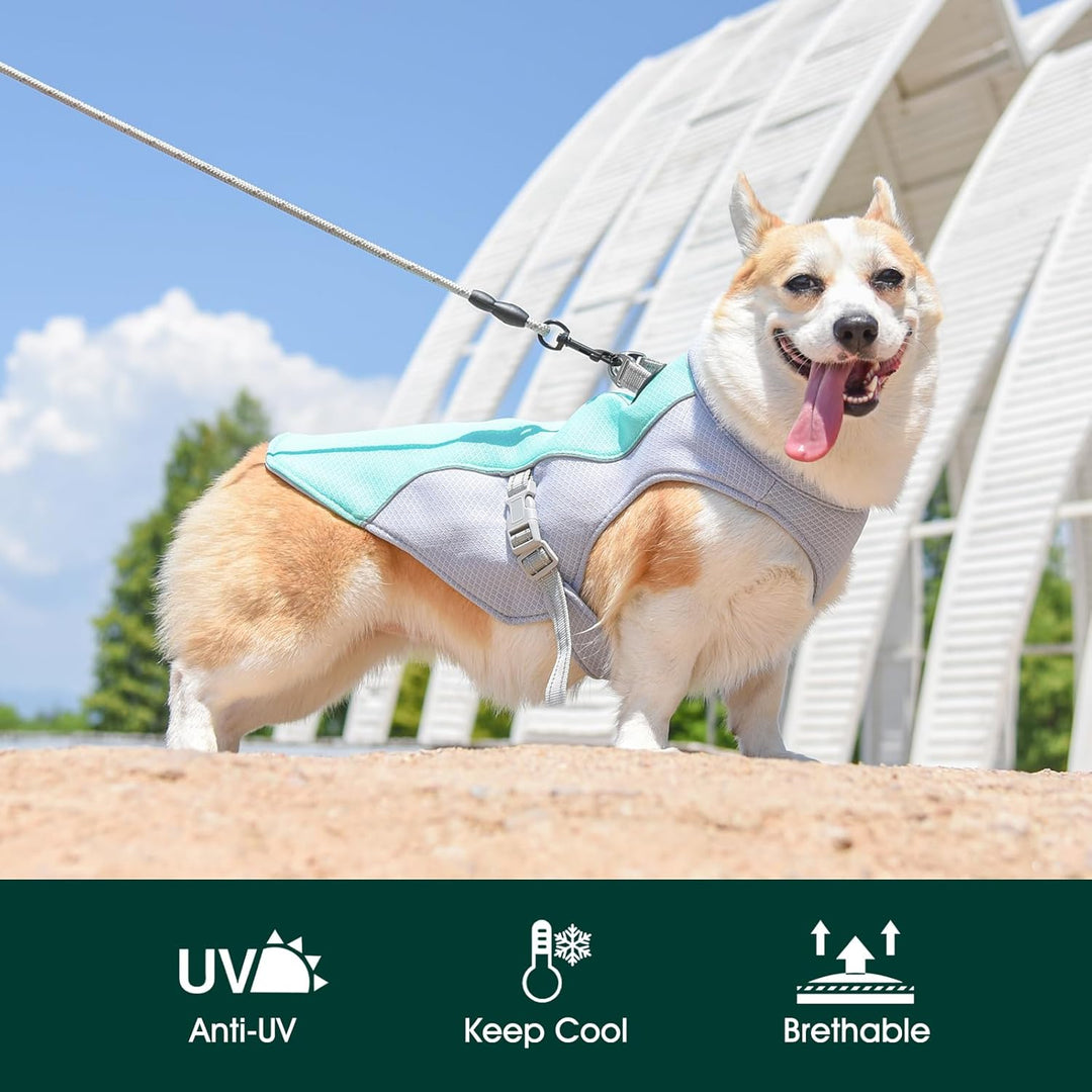 Protege a tu perro del calor con este chaleco enfriador. Incluye arnés reflectante para mayor visibilidad y seguridad.