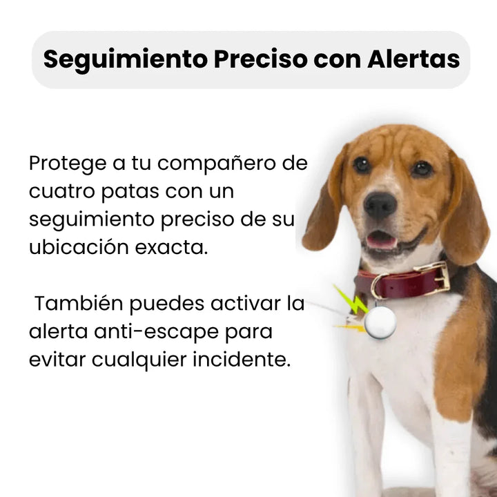 Localizador GPS para perros y gatos. Seguimiento global, seguridad anti-pérdida y sin cuotas para tu mascota.
