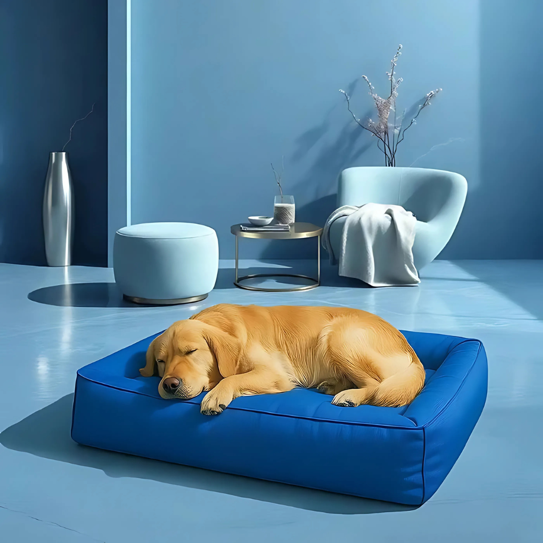 Cama ortopédica duradera para mascotas, diseño resistente que ofrece soporte y descanso óptimo.