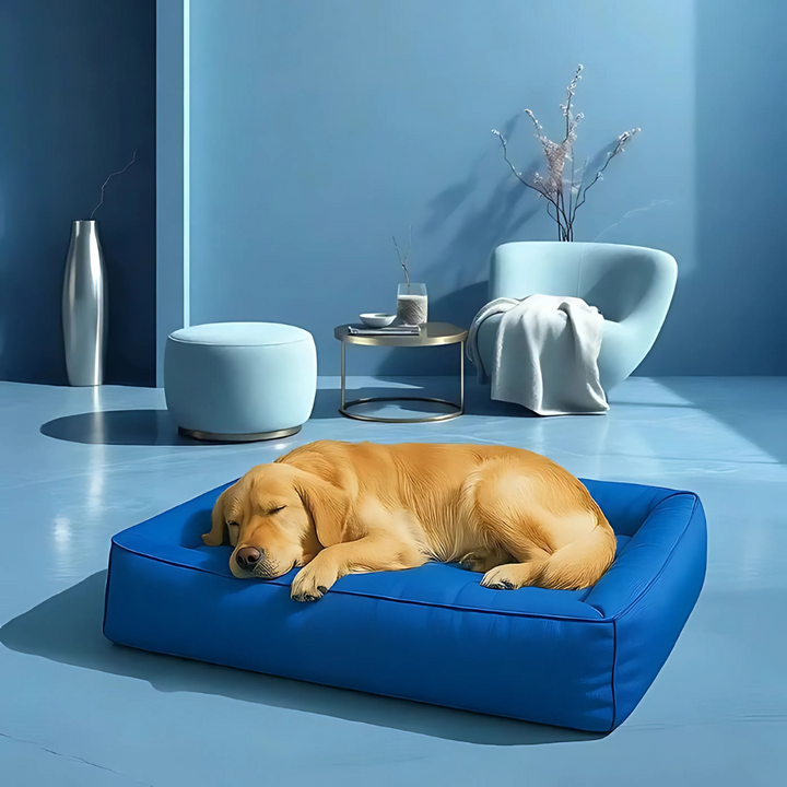 Cama ortopédica duradera para mascotas, diseño resistente que ofrece soporte y descanso óptimo.