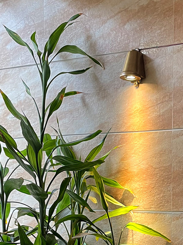 Lámpara de pared exterior, estilo industrial vintage. Aplique impermeable con forma de campana.